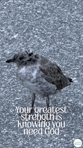 10 Christian Phone Wallpapers