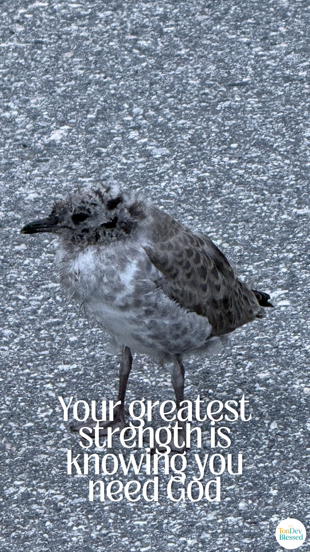 10 Christian Phone Wallpapers